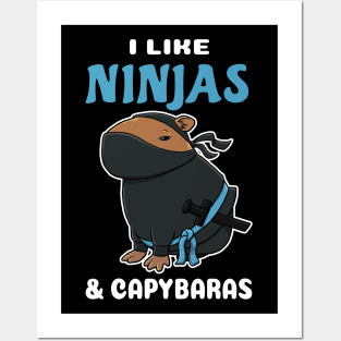 I Like Ninjas and Capybaras Cartoon Posters and Art